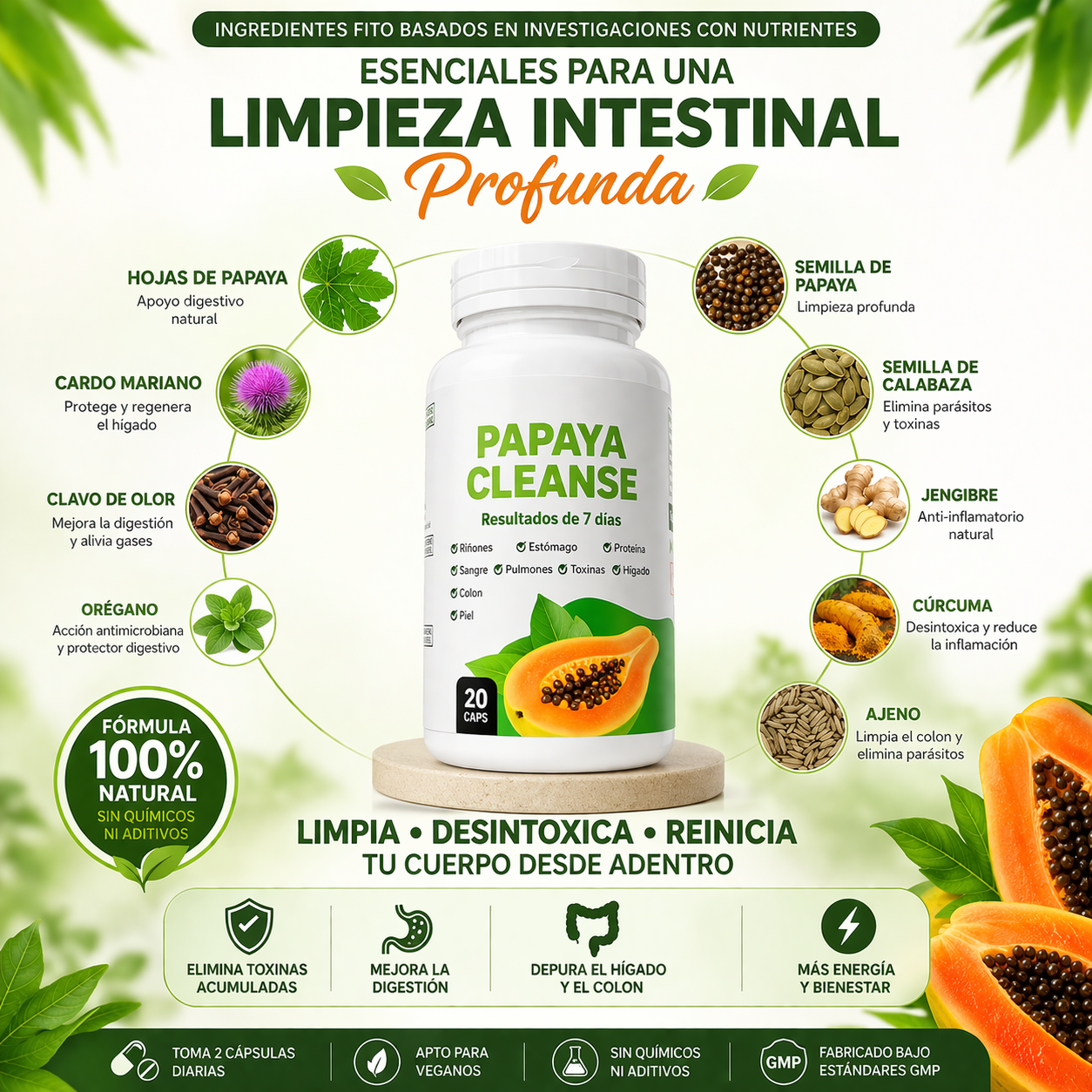 🍃 Limpia tu colon naturalmente PAPAYA CLEANS✨🌿